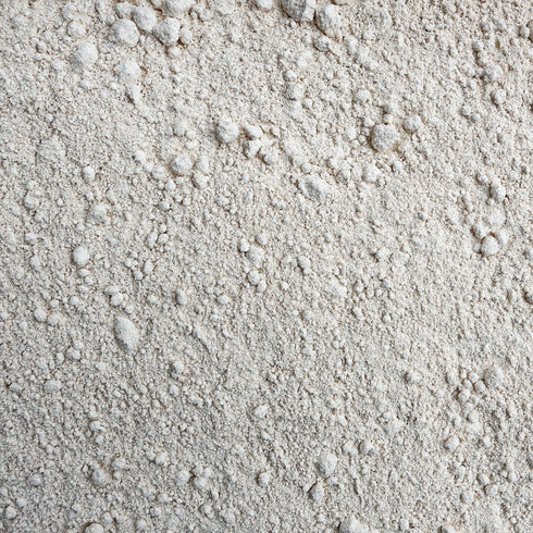 ORGANIC SPROUTED SPELT FLOUR